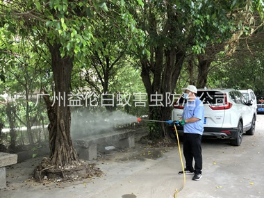 花山社区四害消杀工程