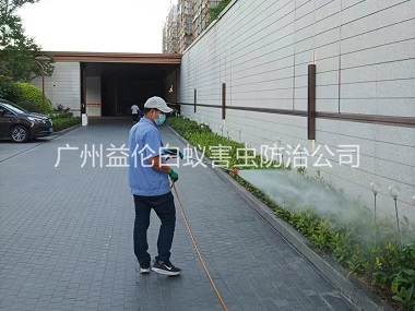 芙蓉企业园区消杀蚊蝇工程