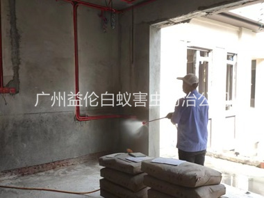 花都装修预防白蚁工程